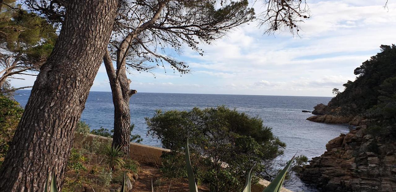Maison Provencale Cavalaire-sur-Mer Exteriér fotografie